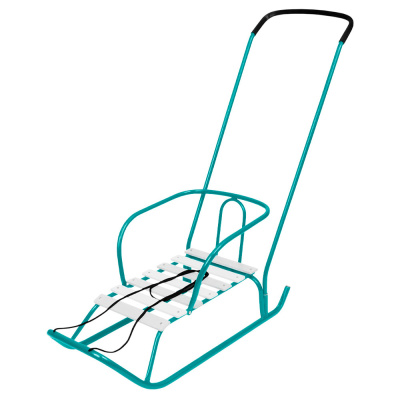 Санки детские Ветерок 2 со спинкой и ручкой В2/АК 1